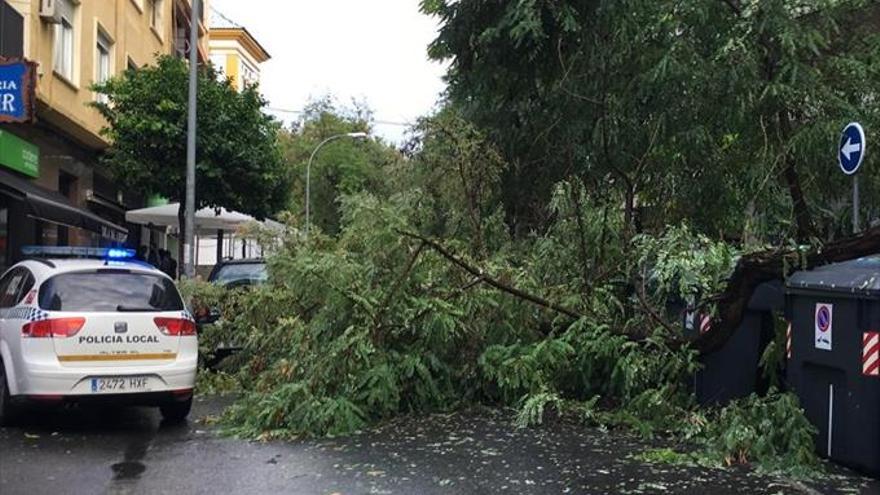 Una tormenta con granizo &#039;mete&#039; a Córdoba en el invierno