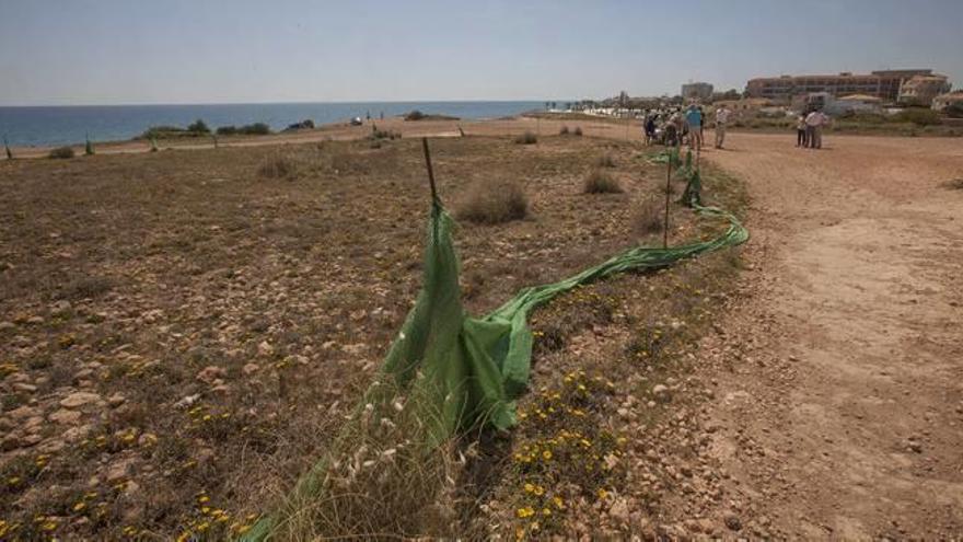 Terrenos en Cala Mosca donde se pretende construir 1.500 viviendas.