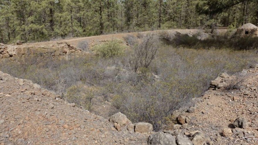 Parte del muro de la estructura principal del ingenio azucarero de los Soler