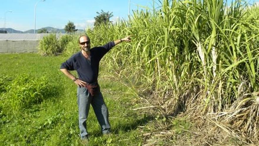 Este cántabro comercializa el jugo de la caña de azúcar que cultiva en Maro.