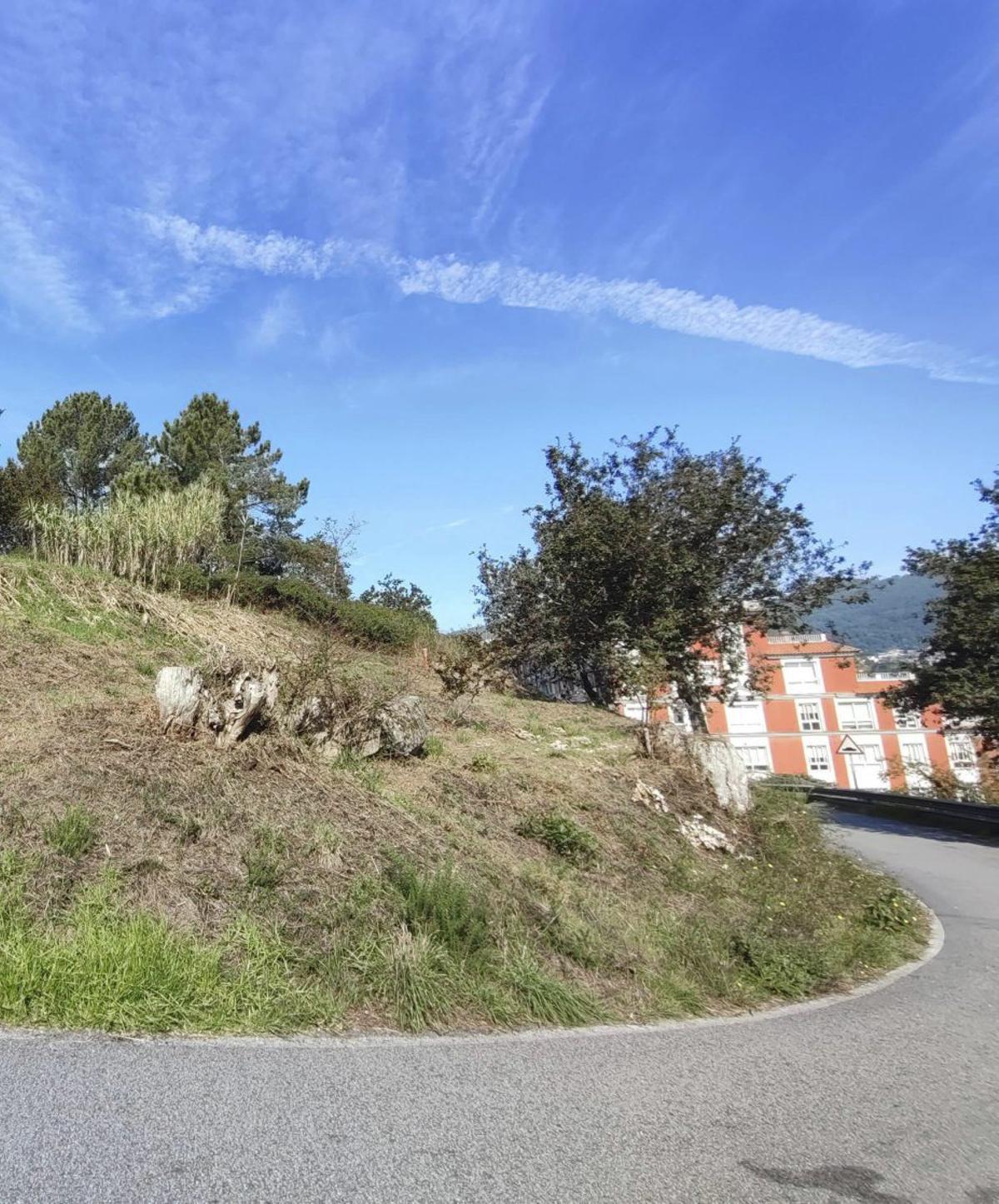 La zona de monte en la que se proyecta la dotación.