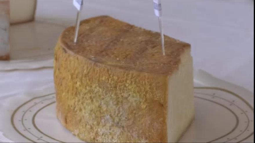 El Concurso Oficial Agrocanarias elige el mejor queso de Canarias