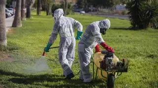 Activada la primera alerta por el virus del Nilo por un positivo en Almería