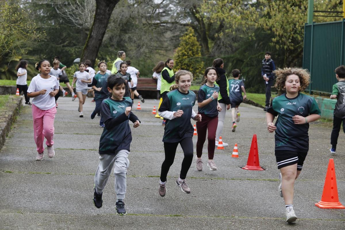 En imágenes: Participantes en la cross escolar del Marcelo Gago en homenaje a Dacal En imágenes: Participantes en la cross escolar del Marcelo Gago en homenaje a Dacal