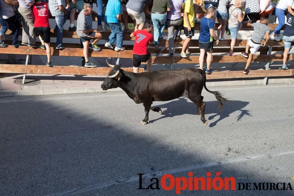 Cuarto encierro Fiestas de Moratalla