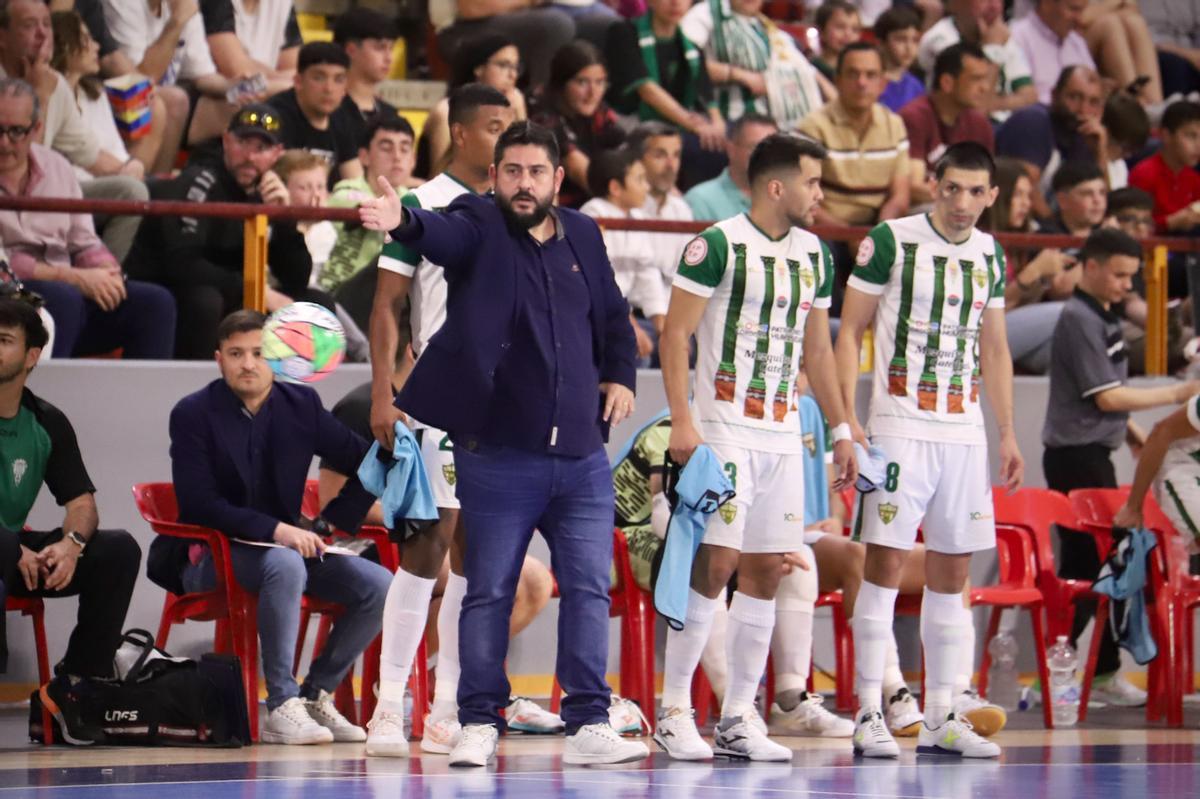 Córdoba Futsal-Jimbee Cartagena: el partido de Vista Alegre en imágenes Córdoba Futsal-Jimbee Cartagena: el partido de Vista Alegre en imágenes