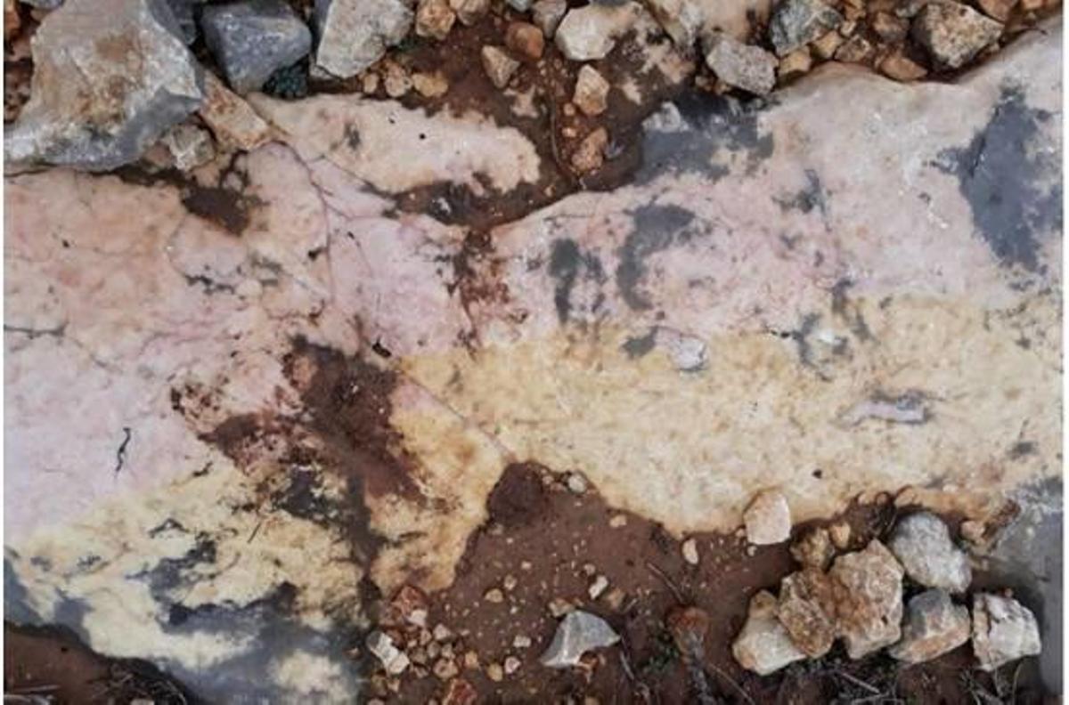 El mármol rosáceo de la puerta románica de la catedral procede de l'Ènova