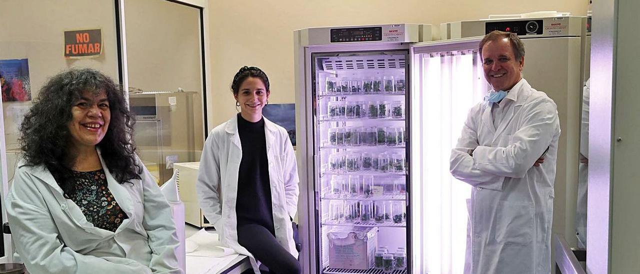Pedro Pablo Gallego y dos investigadoras de su equipo, en su laboratorio de biotecnología.   | // J. LORES