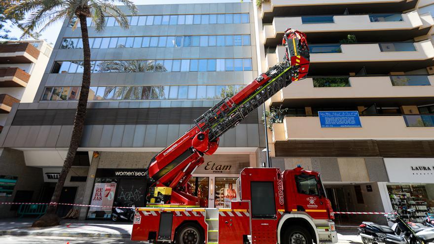 Los bomberos talan una palmera con riesgo de caída en el centro de Ibiza