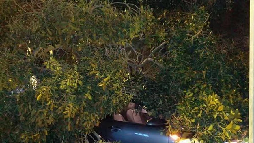 Queda atrapado en el interior de su coche tras caer un árbol en San Andrés