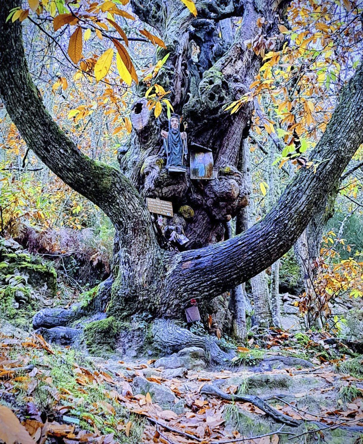 As iniciativas turísticas de ‘Máis que Románico’ e a Ribeira Sacra