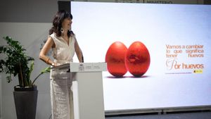 Igualtat presentarà aquest mes la norma contra la violència vicària