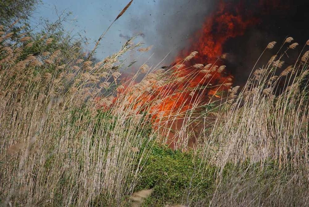 El incendio estuvo controlado alrededor de las 16:00 horas