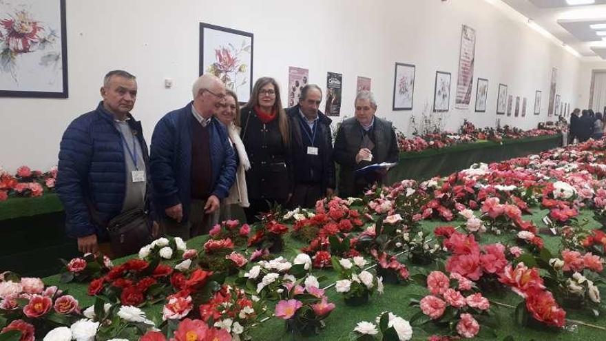 Público asistente ayer a la Mostra da Camelia Cidade de Tui en el Área Panorámica. // Alfredo Hernández