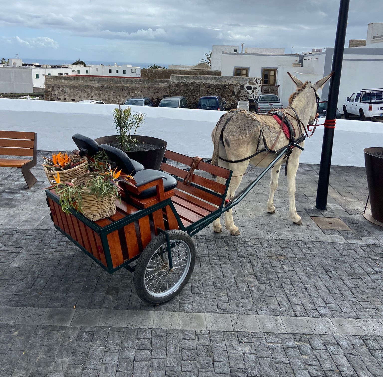 Boda canaria por sorpresa en San Bartolomé que ni los propios novios se esperaban