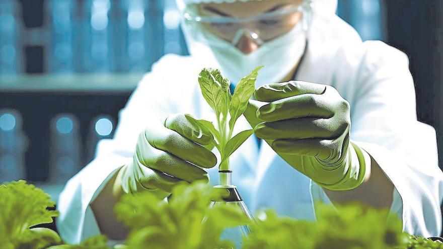 Europa reconcilia ecologismo y biotecnología: fin a tres décadas de bloqueo