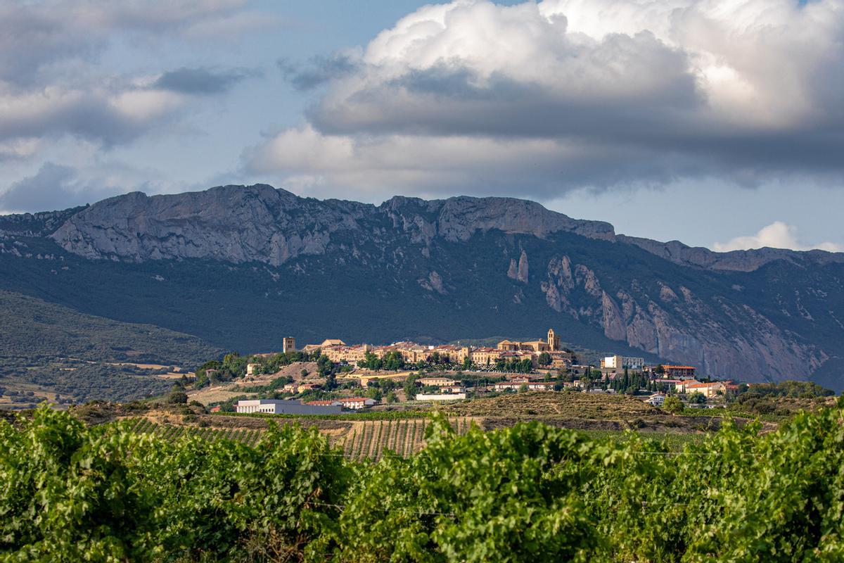 Panorámica de Laguardia