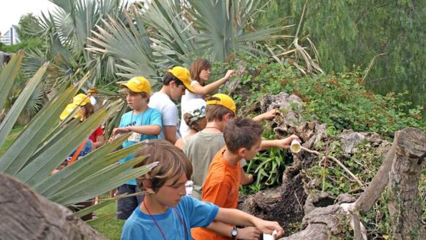 Últimas plazas libres para la escuela de vacaciones de Bioparc