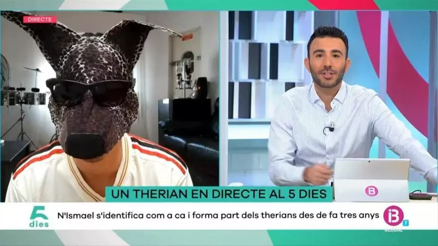 Incidente en directo en IB3: un supuesto 'therian' irrumpe con insultos y gestos obscenos contra Pedro Sánchez