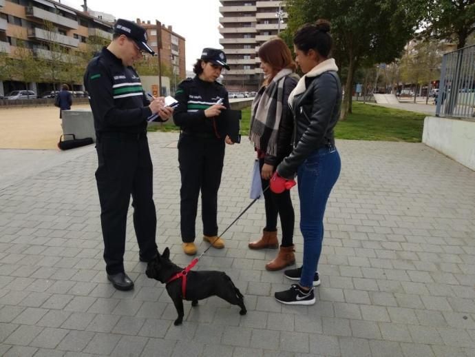 Els agents ambientals de Girona ja han interposat 443 denúncies