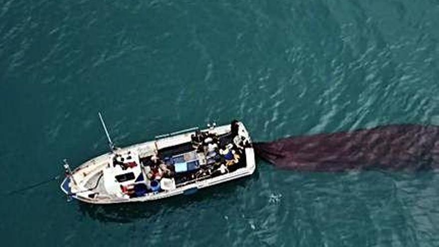 La pesca del sonso, a Arenys de Mar.