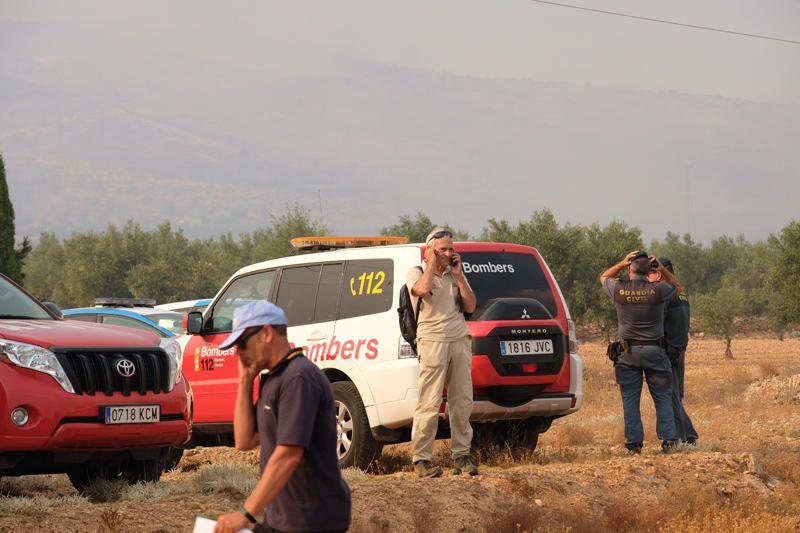 Declarado un incendio en una zona de barranco de Beneixama