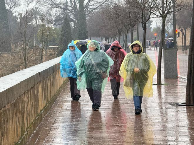 Las lluvias dejan 10 litros en Córdoba