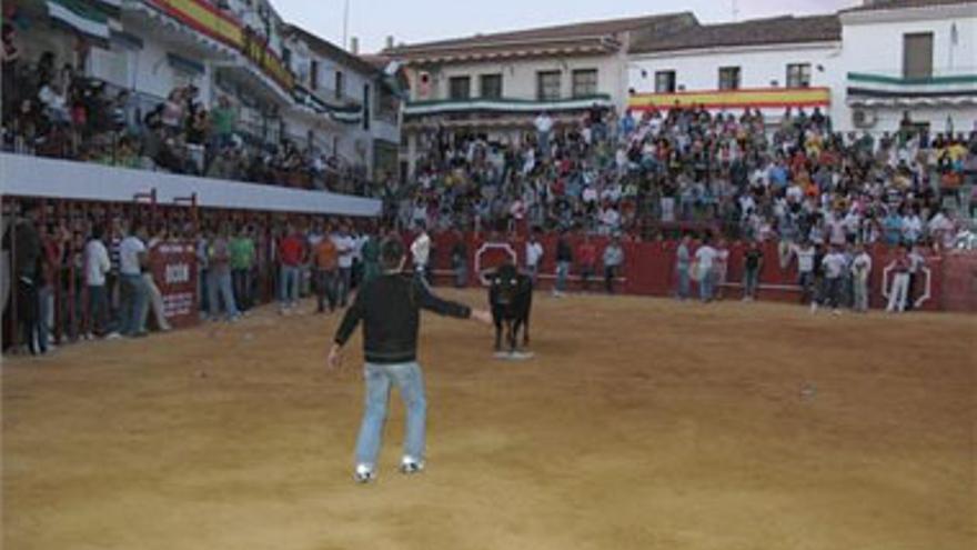 Las fiestas de Moraleja acaban con denunciados y un detenido