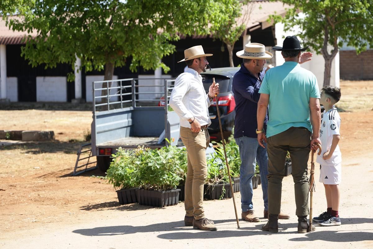 Fotogalería | Así se ha desarrollado la feria equina de Cáceres