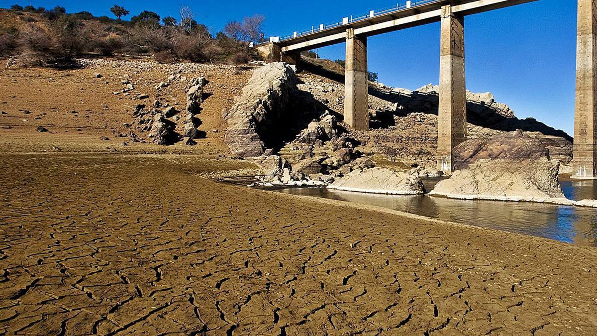 El embalse de Ricobayo a la altura del puente de la Estrella este verano. | Jose Luis Fernández