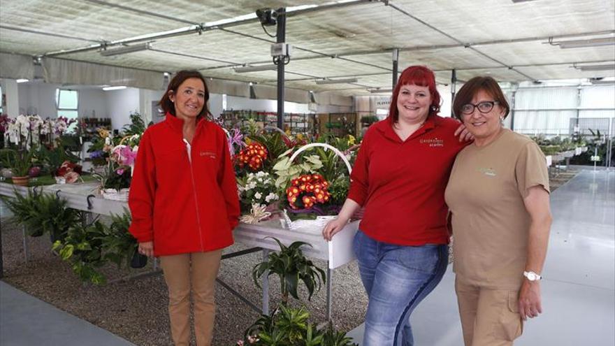 Aprendiendo entre flores