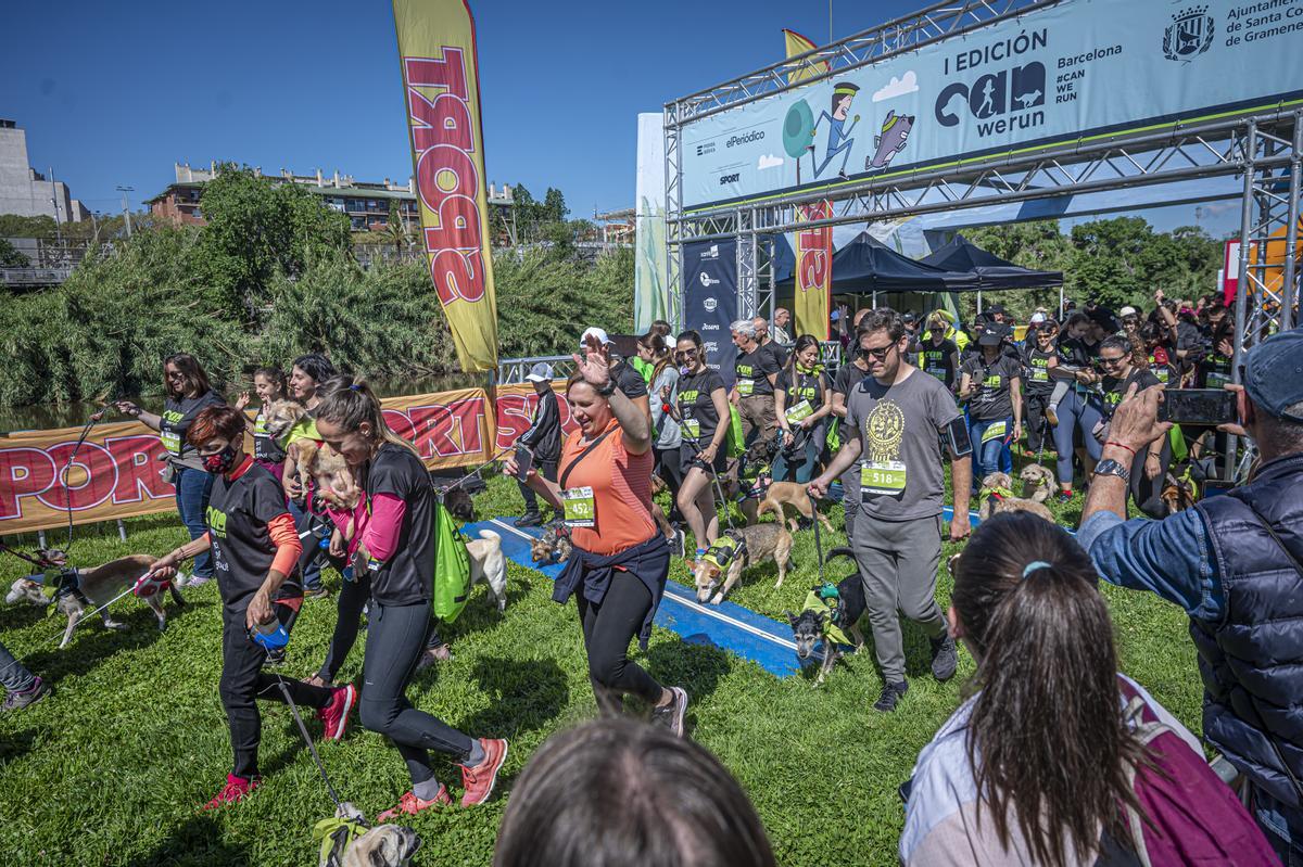 CAN WE RUN BARCELONA. La carrera organizada por Prensa Ibérica y El Periódico de Catalunya con la colaboración de Sport ,  donde las personas y sus mascotas perrunas corren en familia