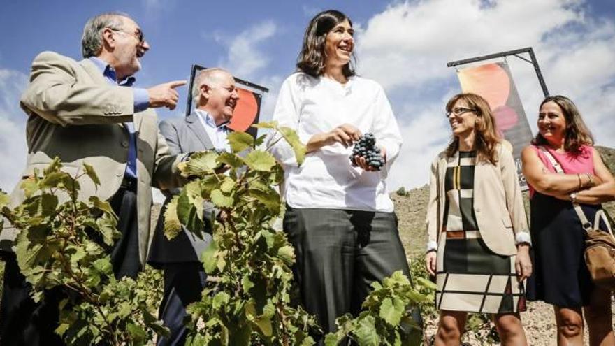 La inauguración de la Vendima 2015 a cargo de María Blasco en las bodegas Sierra Salinas.