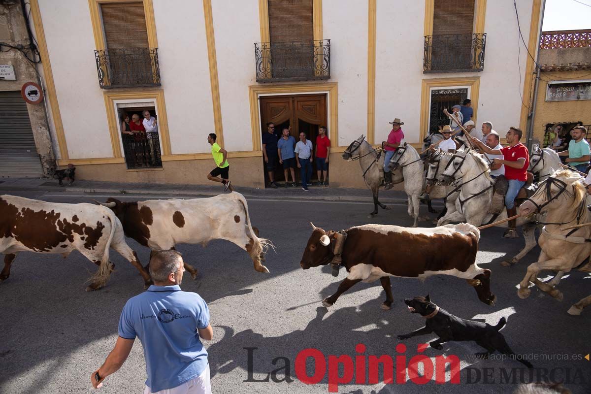 Quinto encierro Moratalla