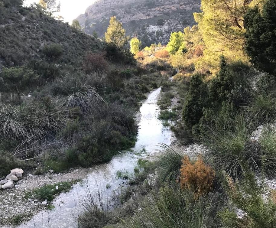 Una senda inundada por una de las surgencias en la montaña de Petrer.