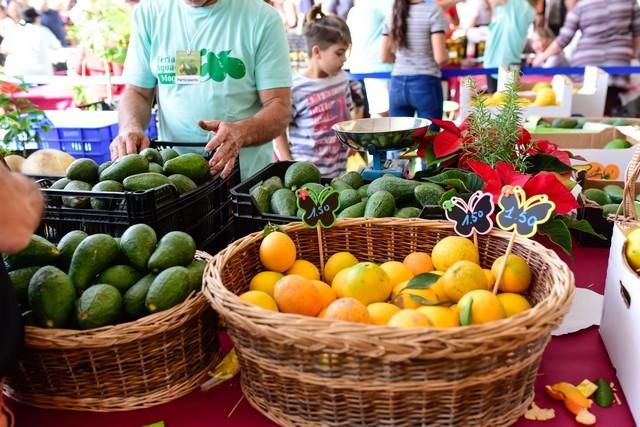 II Feria del Aguacate en Arguineguín