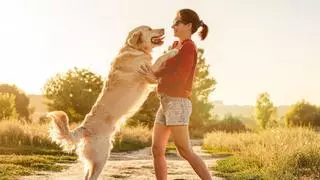 Los perros no saltan sobre las personas al saludar por falta de educación: la razón detrás de este comportamiento