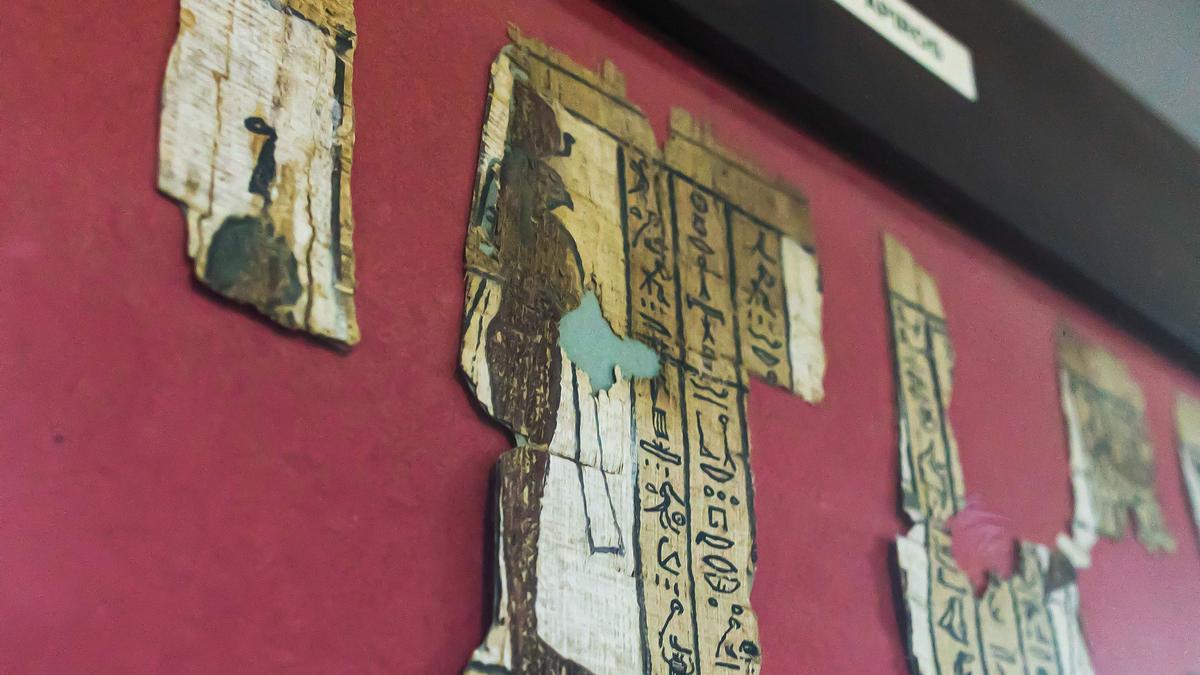 Algunos de los fragmentos de papiro, en el Museo Bíblico de Palma.