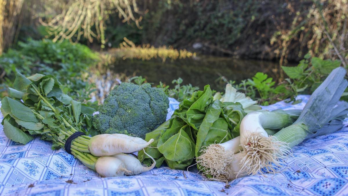 Mantel para el picnic de verduras en la Ribera.