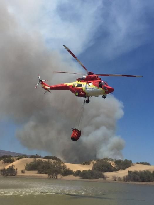 Incendio en las Dunas y Charca de Maspalomas