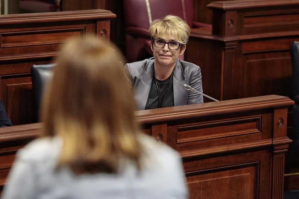 Pleno en el Parlamento de Canarias 11-02-2020  | 11/02/2020 | Fotógrafo: María Pisaca Gámez