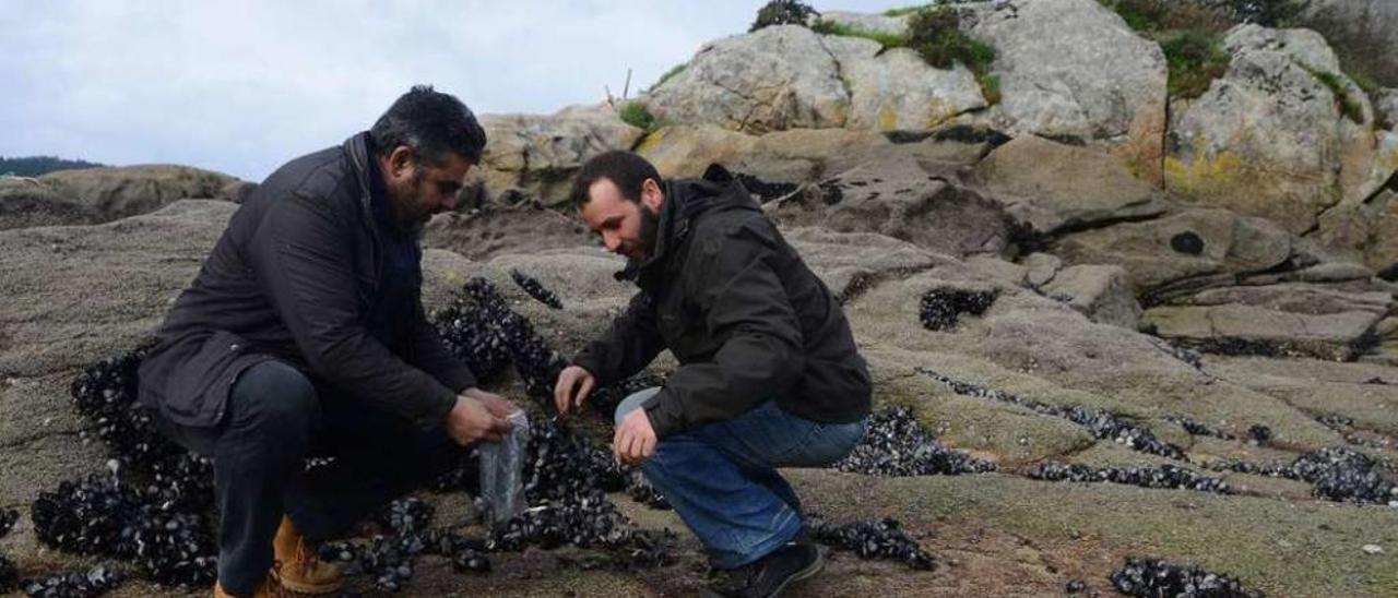 Miembros de la cofradía recogiendo muestras. // G.Núñez