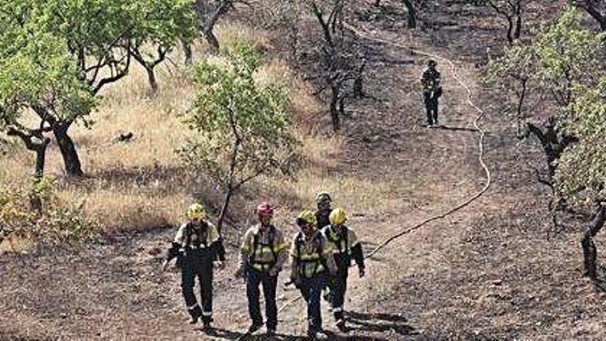 Un grup de bombers camina per la zona afectada per l&#039;incendi a la Ribera d&#039;Ebre.