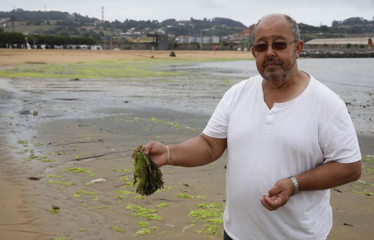 Adolfo Alcoba sujeta un alga en el arenal de la zona oeste. | Ángel González
