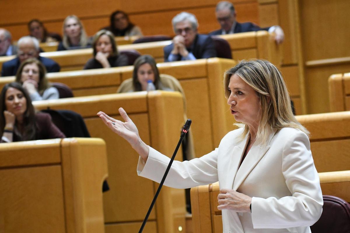 El Senat aprovarà aquesta setmana una comissió d’investigació El Senat aprovarà aquesta setmana una comissió d’investigació