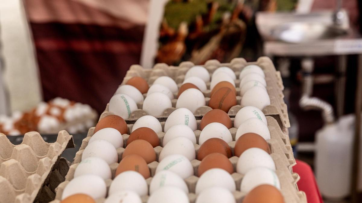 CONSUMO HUEVOS | El elevado consumo y la gripe aviar disparan el precio de los huevos hasta un 51% en el último año