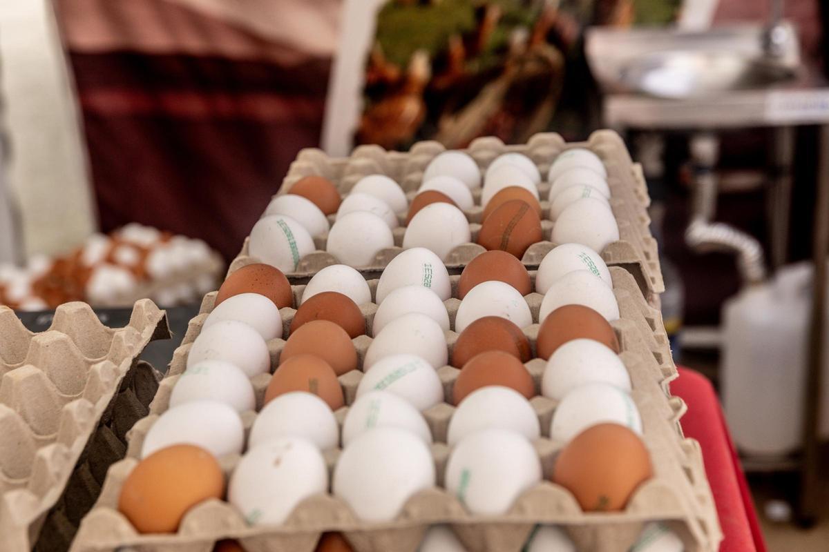 El elevado consumo y la gripe aviar disparan el precio de los huevos hasta un 51% en el último año