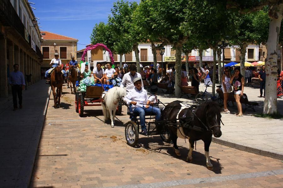 Feria del caballo en Fuentesaúco