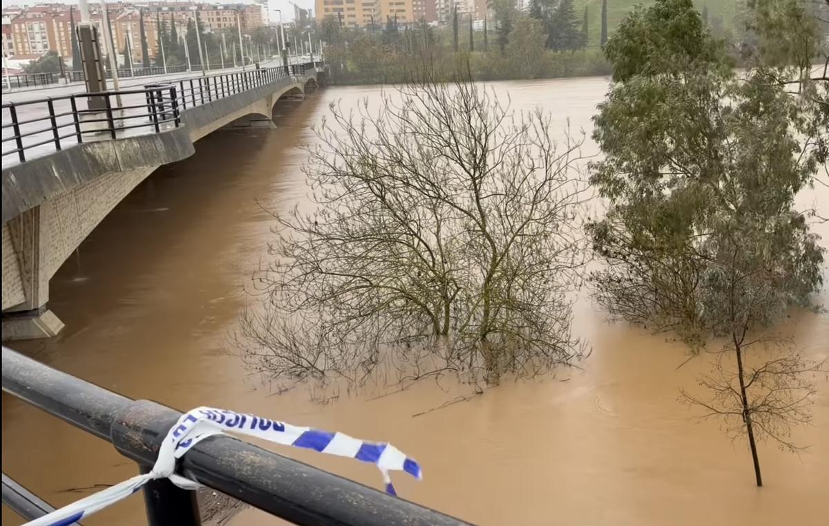 Puente de la Autonomía, en los días de inundaciones.