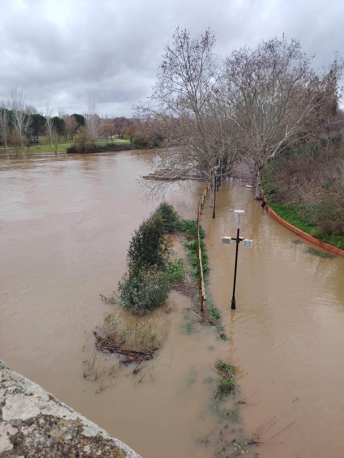 La crecida del río Guadiana a su paso por Mérida anega el parque de La Isla La crecida del río Guadiana a su paso por Mérida anega el parque de La Isla